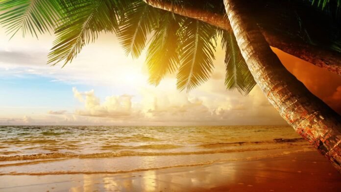 havai-e-o-caribe-perdem-para-o-brasil-na-melhor-disputa-de-praia