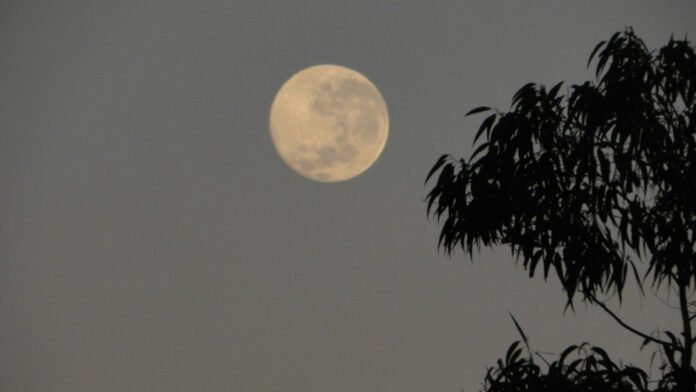 confira-a-fase-da-lua-na-quinta-feira-(15)