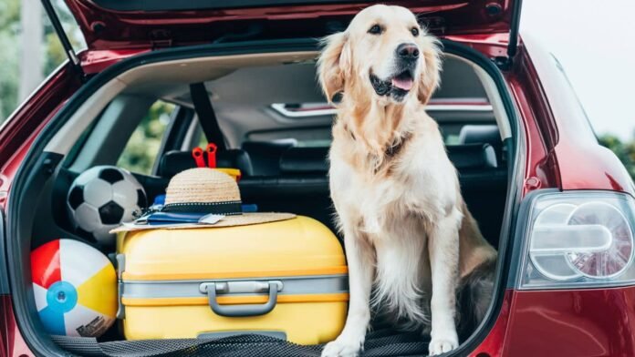 os-3-carros-superiores-com-grande-porta-malas-para-viajar-com-a-familia-do-feriado!